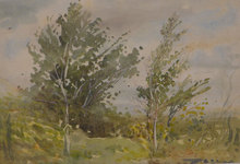 Landscape With The Trees